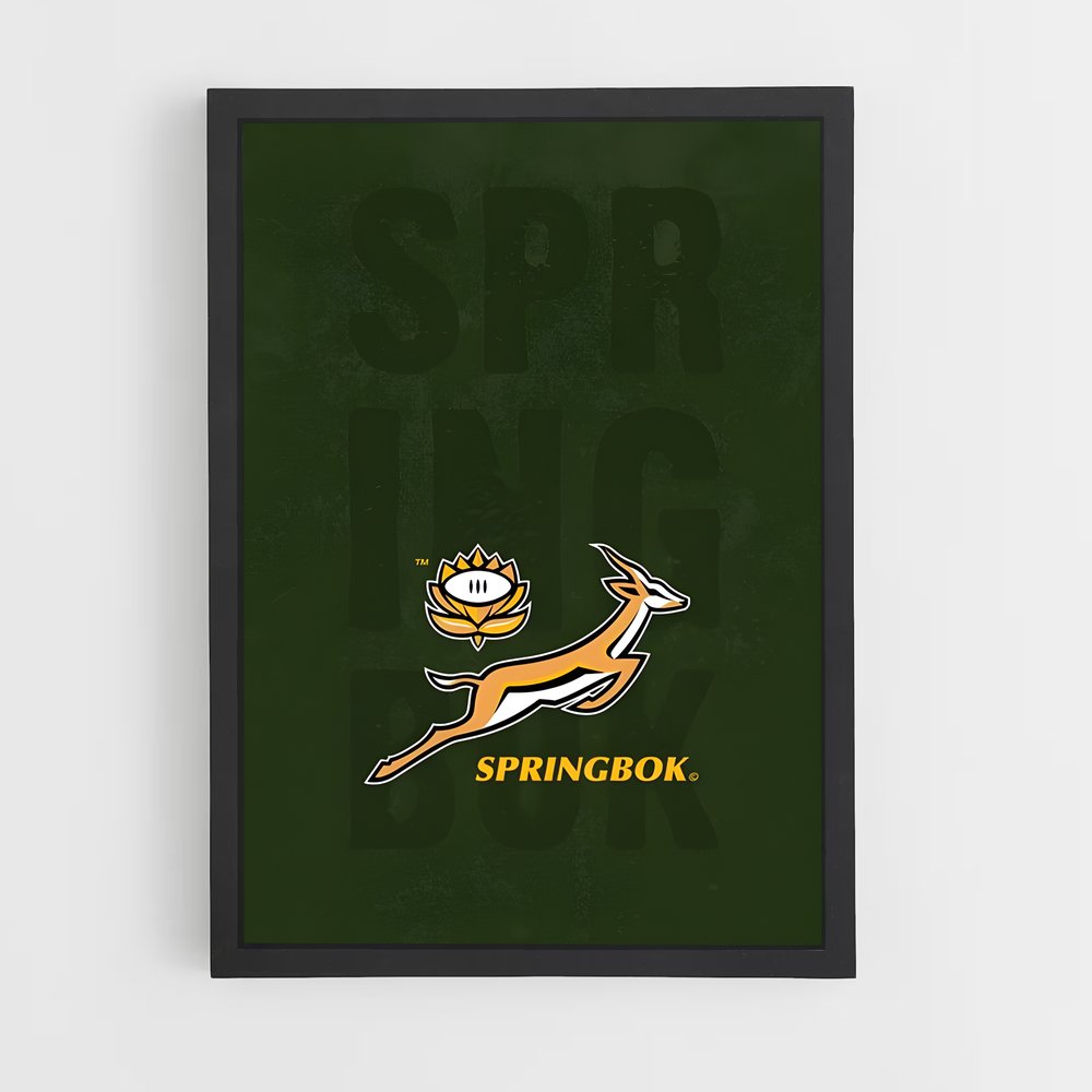 Poster Springboks Spirit – affiche Rugby (vue 2)